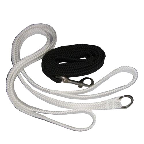 Webbing Show Leads For Pets